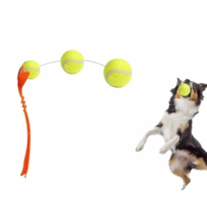 Lançador de Bola pra Pet