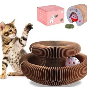 Arranhador Interativo Catnip Bolinha - Gato