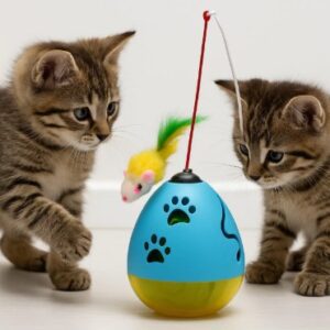 João Bobo para Gatos – Movimento Contínuo e Diversão