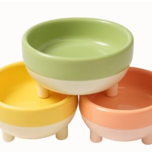 Comedouro Bebedouro Elevado Super Luxo