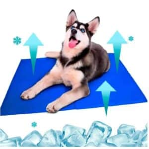 Tapete Colchonete Frio PET